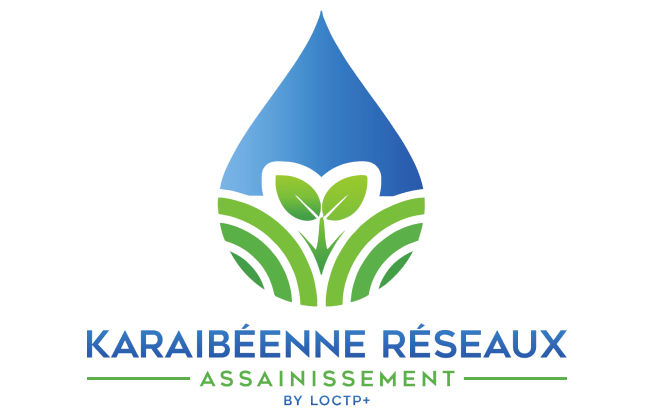 Logo de Karaïbéenne Réseaux